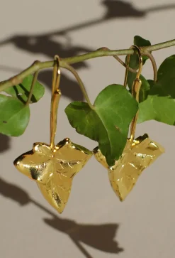 Boucles d’oreilles Lierre Dorées